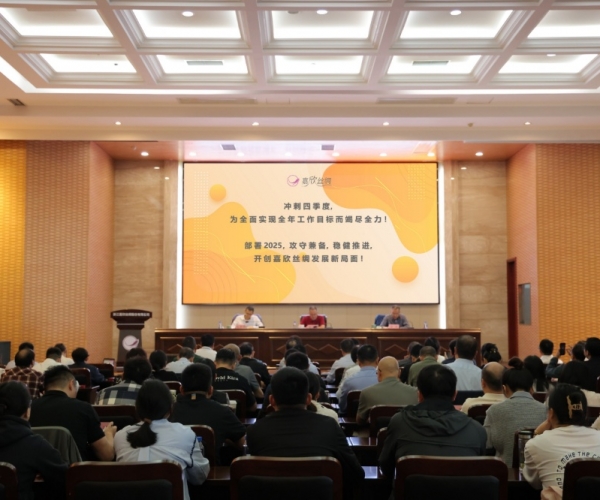 尊龙凯时丝绸2024年三季度经济形势分析会顺利召开